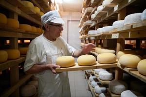 Cheese maker  at the storage with shelves full of cow and goat cheese photo