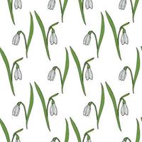 Seamless pattern with snowdrops on white background vector
