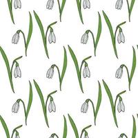 Seamless pattern with snowdrops on white background vector