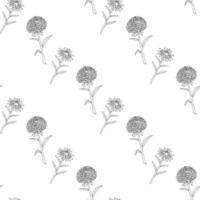Seamless pattern with black-and-white cozy aster flowers on white background. Vector image. Coloring book.