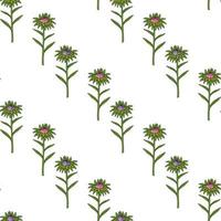 Seamless pattern with cozy pink and violet aster buds on white background. Vector image.