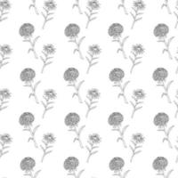 de patrones sin fisuras con lindas flores de aster en blanco y negro sobre fondo blanco. imagen vectorial libro de colorear. vector