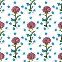 Seamless pattern with pink aster and blue forget-me-not flowers on white background. Vector image.