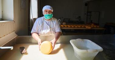 Workers preparing raw milk for cheese production photo