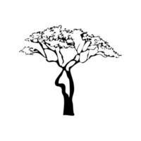 el árbol de la sabiduría vector