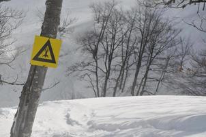 Winter landscape view photo