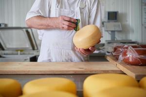 Cheese maker at local  production factory photo