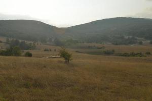 vista del paisaje de verano foto