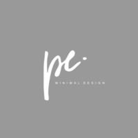 P E PE Initial handwriting or handwritten logo for identity. Logo with signature and hand drawn style. vector