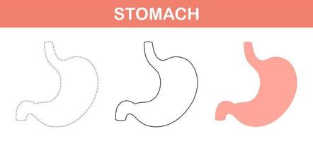 Stomach tracing and coloring worksheet for kids vector