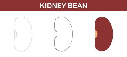 Kidney Bean tracing and coloring worksheet for kids vector