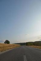 road through the green field photo