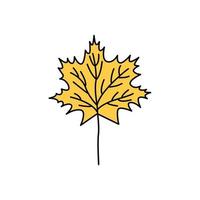 Yellow maple leaf doodle. Autumn collection of fallen leaves. Black outline isolated on a white background. Element of autumn aesthetics. Hand drawn line art, cute vector illustration.