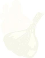 flat color illustration of garlic vector