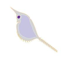 Cartoon design of zooplankton. Vector illustrator