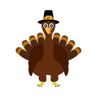 Turkey Pilgrim on Thanksgiving Day vector