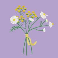 Bouquet with daisies and tansy. Beautiful flowers in cartoon style. vector