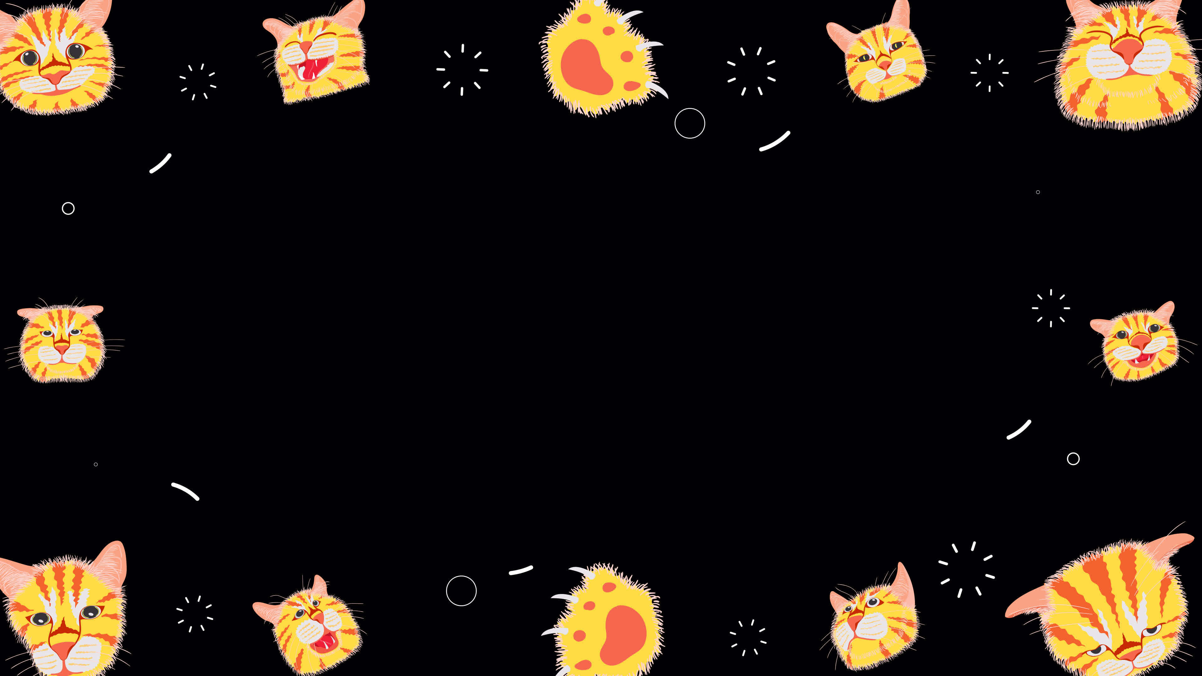 Cat Loop Stock Video Footage for Free Download Cat Loop Stock Video Footage for Free Download