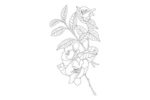 Vector illustration, KDP coloring page, Vector outline flowers. Line art coloring page with roses and leaves