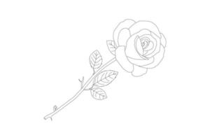 Vector illustration, KDP coloring page, Vector outline flowers. Line art coloring page with roses and leaves