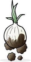 cartoon organic onion vector