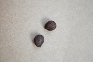 two seeds on a cardboard or gray paper background photo