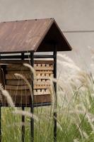 Rest house for bees, hive for bees photo