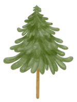 Christmas pine tree plain illustration watercolor png