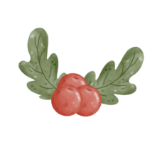 söt jul röd körsbär med grön blad prydnad dekoration vattenfärg illustration png