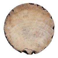 old round wood isolated on white background with clipping path photo