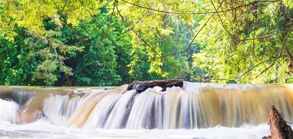 Water falls in tropical rainforest with rock and tree photo