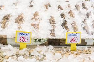 pescado fresco de agua salada en el mercado foto