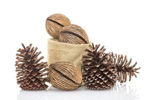 Othalanga - Suicide tree seed and cedar pine cone in sacks fodder photo