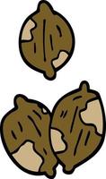 cartoon doodle nuts in shells vector