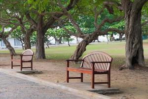 Empty wooden bench in the park photo