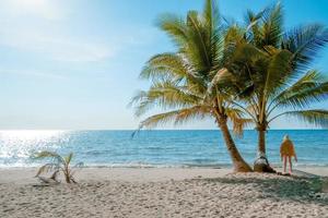 Palm tree on the tropical beach,with a beautiful  sea view on blue sky nature background photo