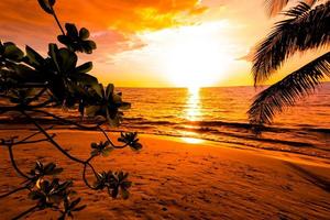 Beautiful sunset over the sea with palm tree on the tropical beach and blue sky for travel in holiday relax time, photo