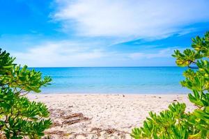 marco de hojas verdes sobre un fondo de playa de mar tropical en concepto de verano foto