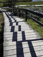 The midday sun creating an interesting pattern on a pathway through Thingvellir, Iceland photo