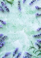 Lavender flowers and leaves creative frame on a green wooden background photo
