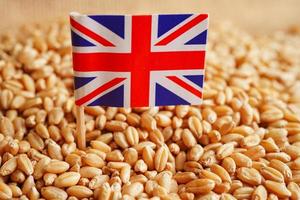 United Kingdom on grain wheat, trade export and economy concept. photo