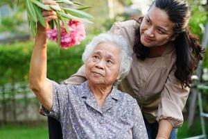 Asian elderly woman enjoy in flower garden with caregiver in park. photo