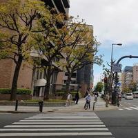 Osaka, Japan on April 10, 2019. Situation at a pedestrian crossing, where a healthy grandmother riding a bicycle is preparing to cross. photo