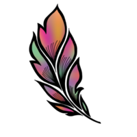 The colorful feather png