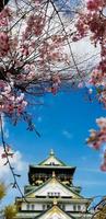 Landscape photo of Osaka Castle in spring, where there are still some cherry blossoms still in bloom.