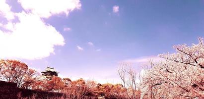 foto paisajística del castillo de osaka en primavera, donde todavía hay algunos cerezos en flor.