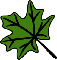 simplicity maple leaf freehand drawing flat design. png