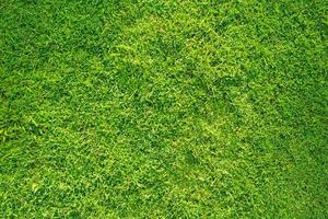 fondo de textura de hierba verde, fondo de césped verde abstracto con luz solar matutina.el campo de fútbol y el concepto de campo de golf foto