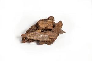 Tree bark of Medicinal Neem over white background photo