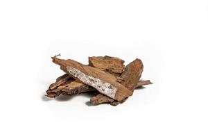 Tree bark of Medicinal Neem over white background photo